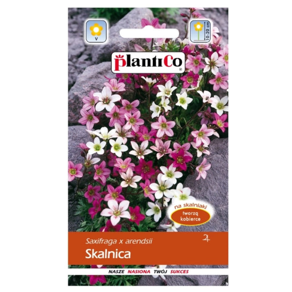 Skalnica PlantiCo, nasiona kwiatów, 0,05 g