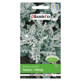 Starzec popielaty PlantiCo, opakowanie nasion 0,2 g