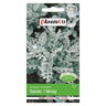Starzec popielaty PlantiCo, opakowanie nasion 0,2 g