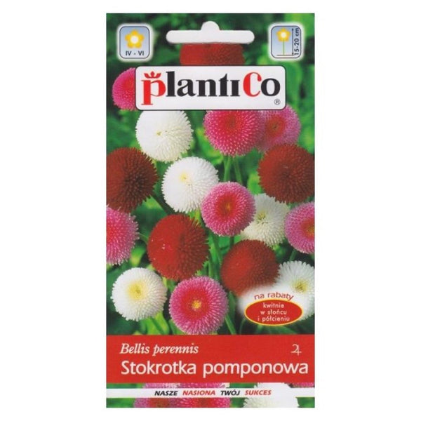 Stokrotka pomponowa pełna mieszanka PlantiCo, opakowanie nasion 0,1 g