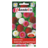 Stokrotka pomponowa pełna mieszanka PlantiCo, opakowanie nasion 0,1 g
