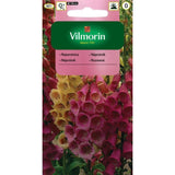 Naparstnica purpurowa Foxy Vilmorin, mieszanka, nasiona kwiatów, 1 g