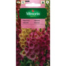 Naparstnica purpurowa Foxy Vilmorin, mieszanka, nasiona kwiatów, 1 g