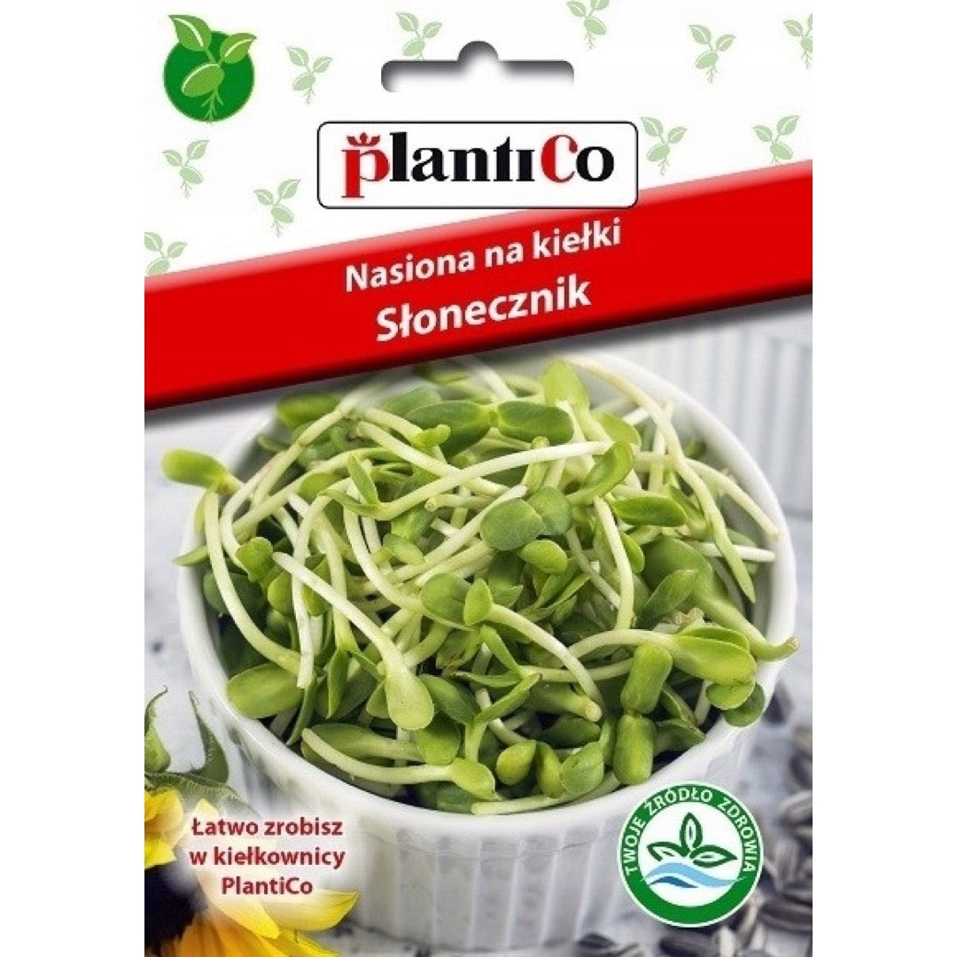 Nasiona na kiełki Słonecznik PlantiCo, opakowanie 40 g