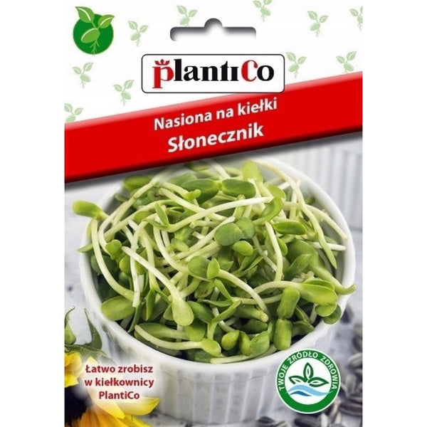 Nasiona na kiełki Słonecznik PlantiCo, opakowanie 40 g