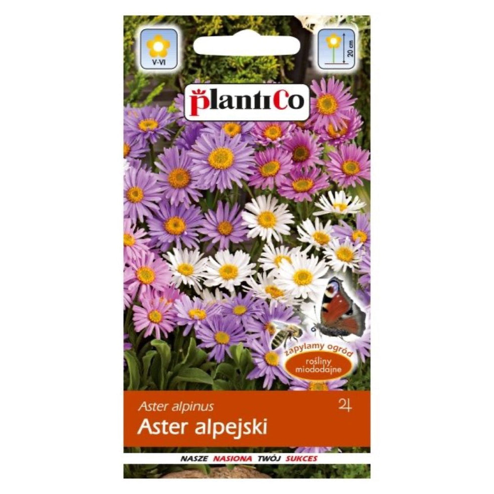 Aster alpejski mieszanka PlantiCo, opakowanie nasion 0,3 g