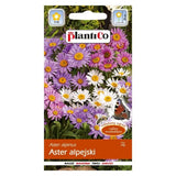Aster alpejski mieszanka PlantiCo, opakowanie nasion 0,3 g