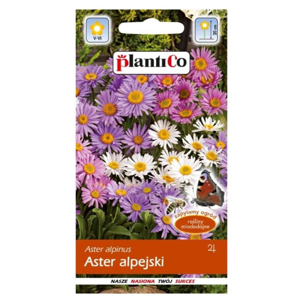 Aster alpejski mieszanka PlantiCo, opakowanie nasion 0,3 g