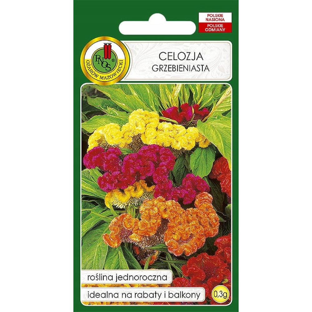 Celozja grzebieniasta mieszanka PlantiCo, opakowanie nasion 0,3 g