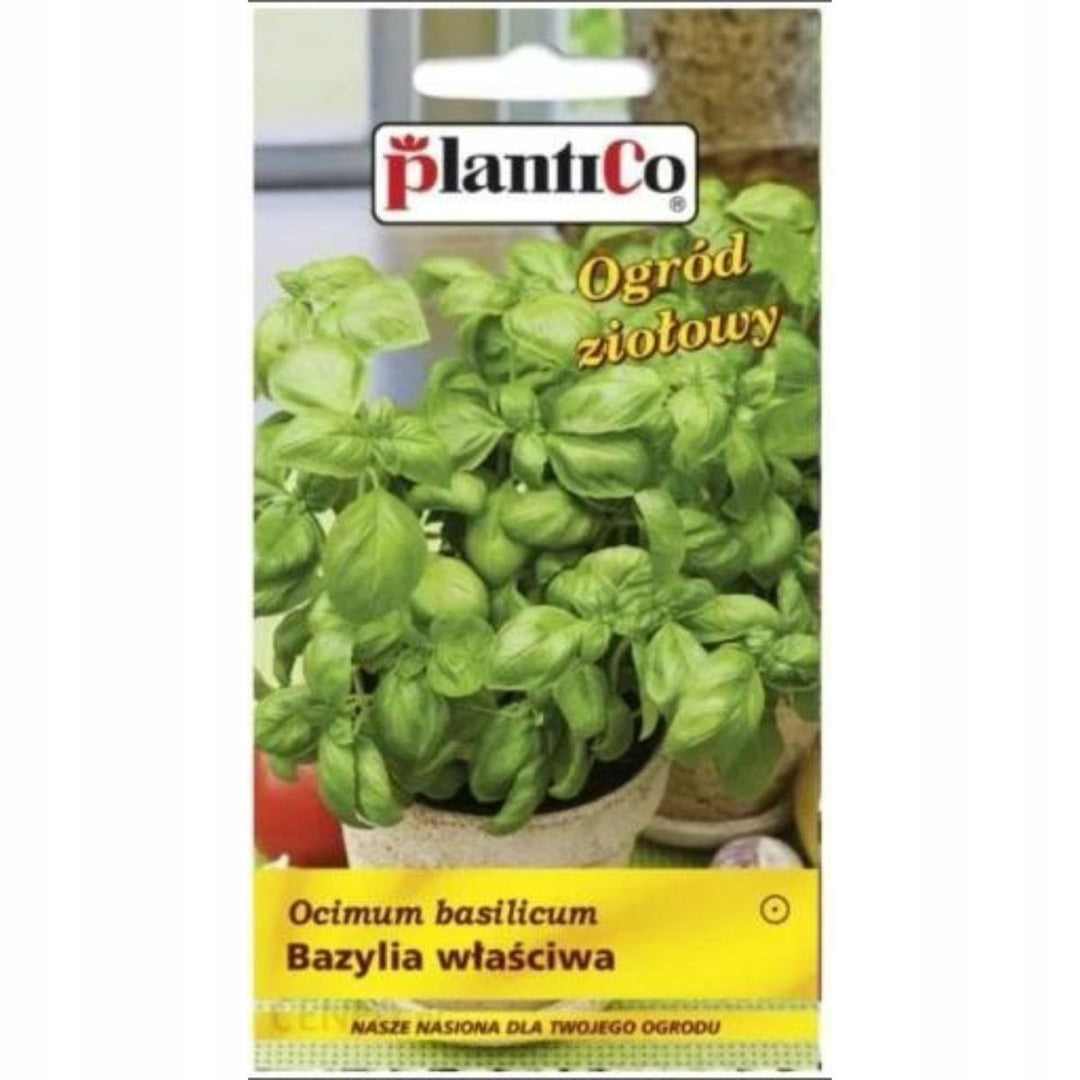 Bazylia wonna PlantiCo, nasiona ziół i przypraw, 0,5-1 g