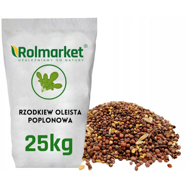 Rzodkiew oleista na poplon Rolmarket, worek 25 kg
