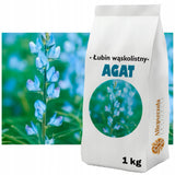 Łubin wąskolistny Agat, nasiona 1 kg