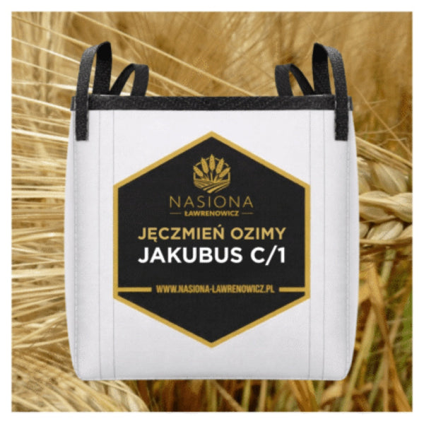 Jęczmień ozimy Jakubus C/1