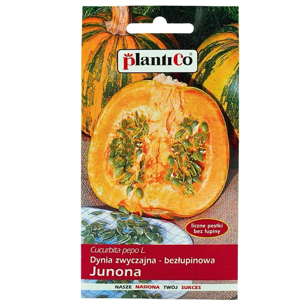 Saszetka nasion Dynia bezłupinowa Junona PlantiCo