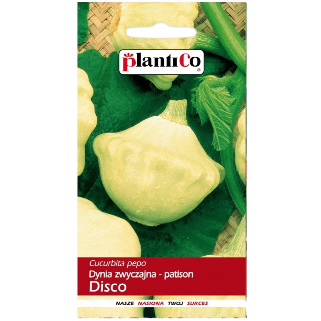 Saszetka nasion Patison Disco PlantiCo
