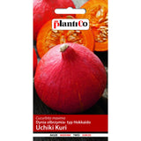 Saszetka nasion Dynia Uchiki Kuri PlantiCo