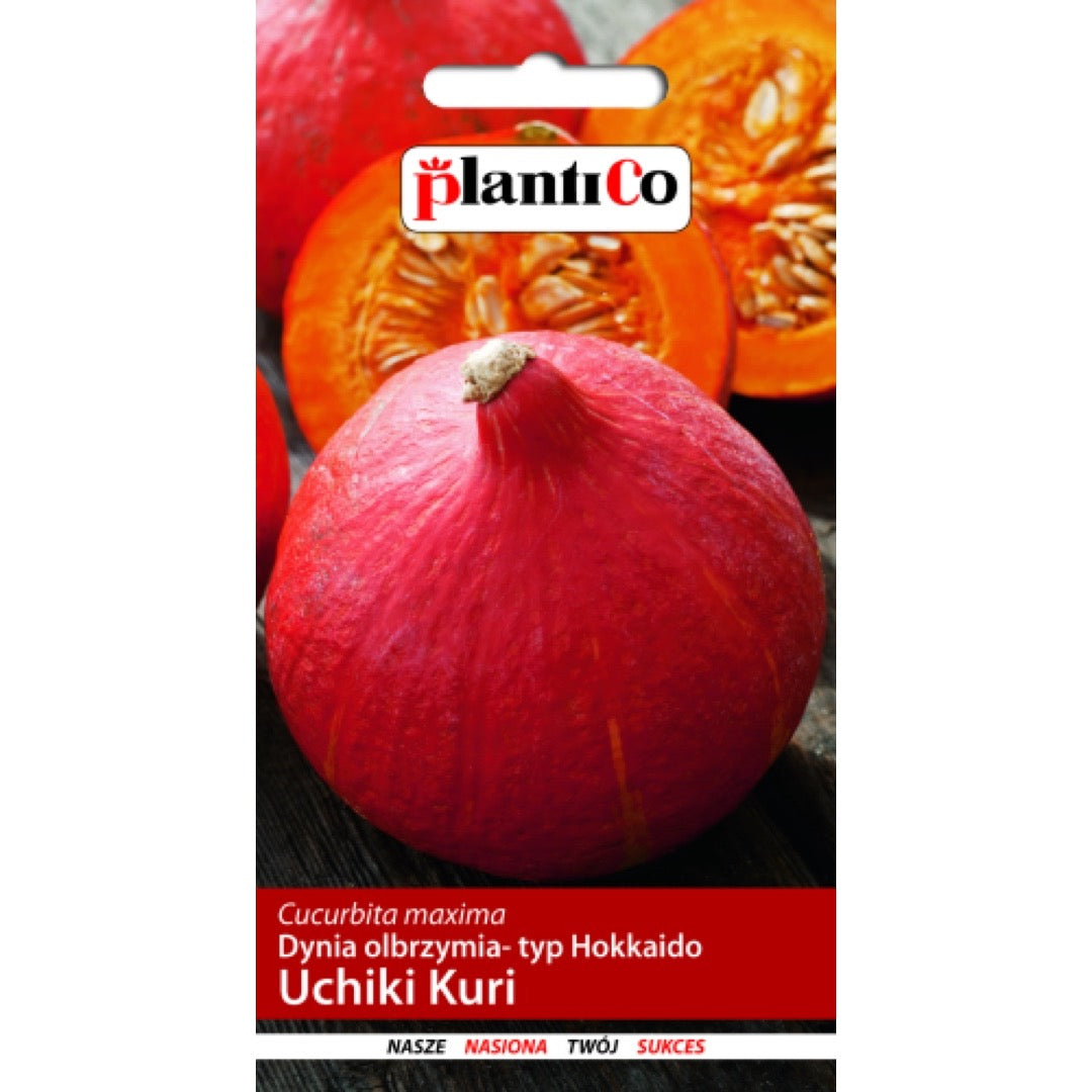 Saszetka nasion Dynia Uchiki Kuri PlantiCo