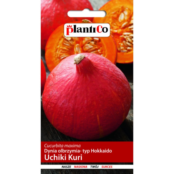 Saszetka nasion Dynia Uchiki Kuri PlantiCo