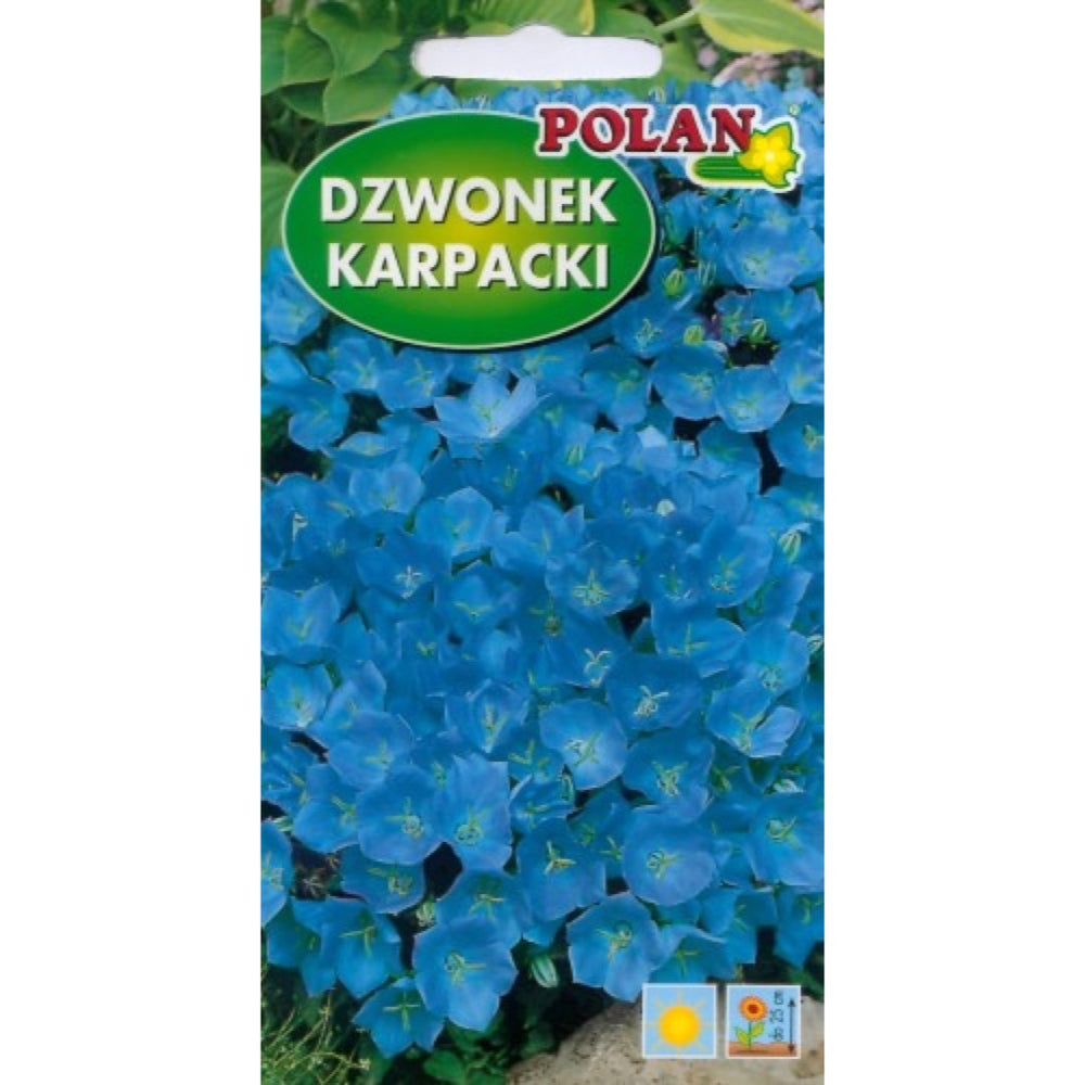 Saszetka nasion dzwonka karpackiego jasnoniebieskiego PlantiCo (Polan)
