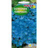 Saszetka nasion dzwonka karpackiego jasnoniebieskiego PlantiCo (Polan)