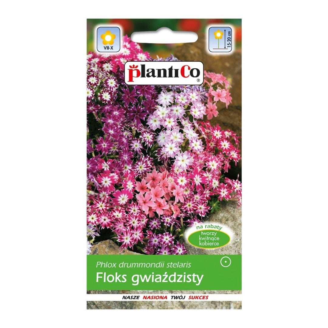 Saszetka nasion floksa gwiaździstego mix PlantiCo
