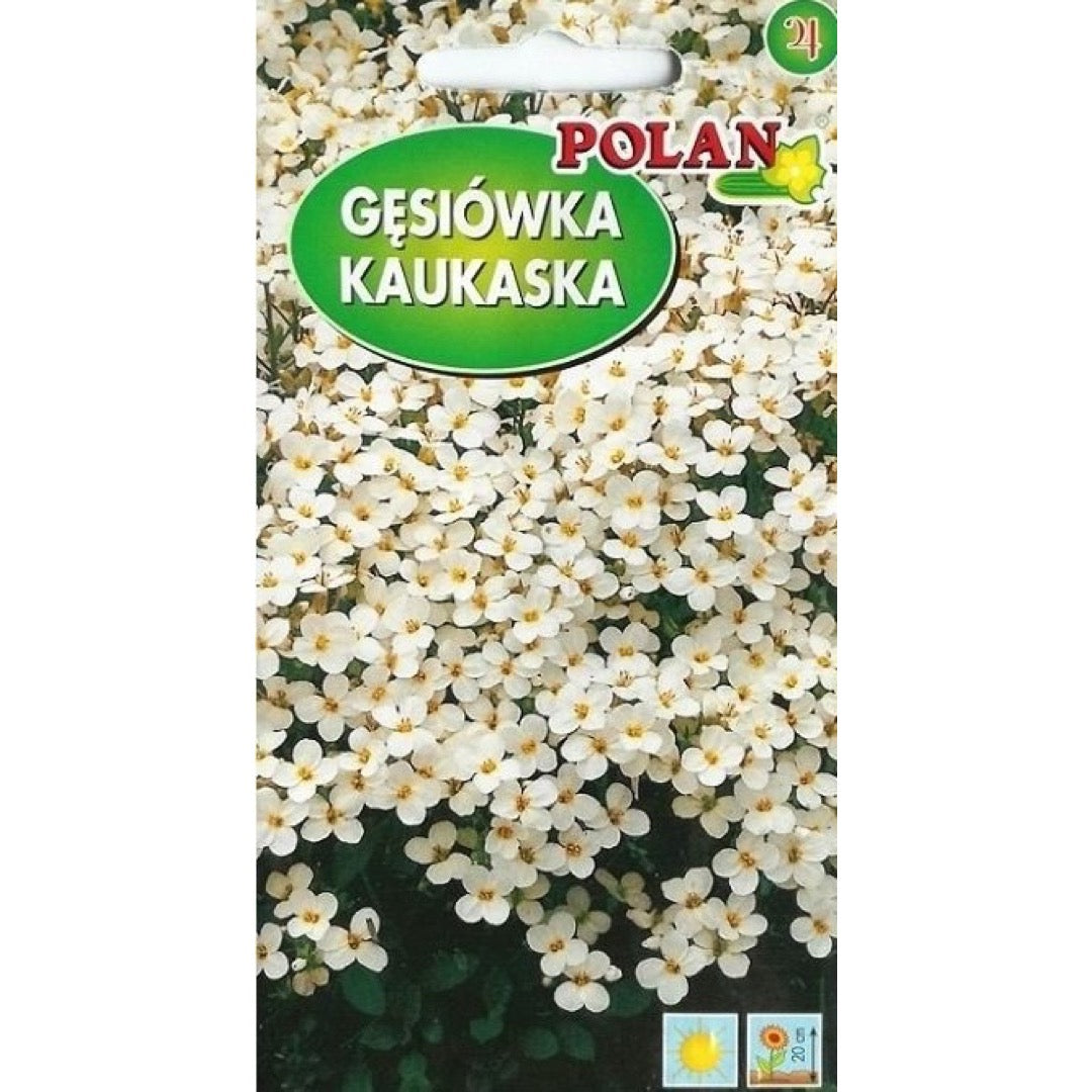 Saszetka nasion gęsiówki kaukaskiej PlantiCo (Polan)