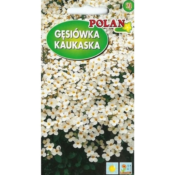 Saszetka nasion gęsiówki kaukaskiej PlantiCo (Polan)