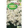 Saszetka nasion gęsiówki kaukaskiej PlantiCo (Polan)