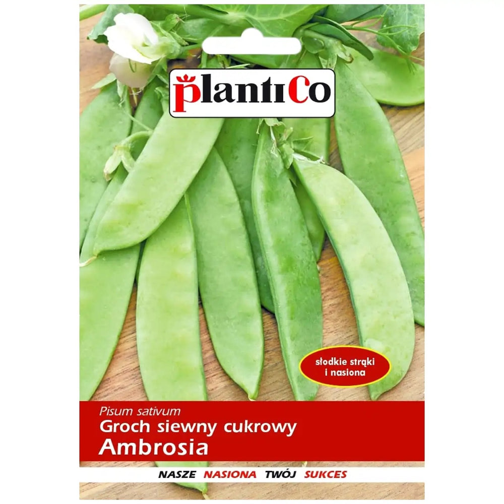 Saszetka nasion Groch cukrowy Ambrosia PlantiCo