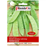 Saszetka nasion Groch cukrowy Ambrosia PlantiCo