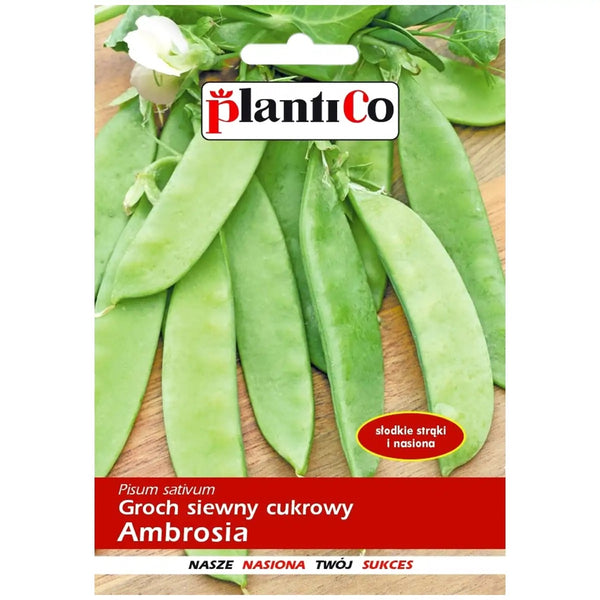 Saszetka nasion Groch cukrowy Ambrosia PlantiCo