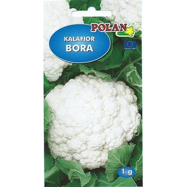 Saszetka nasion kalafiora Bora (Polan)