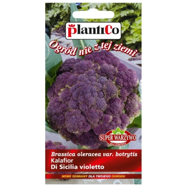 Saszetka nasion Kalafior Di Sicilia violetto PlantiCo