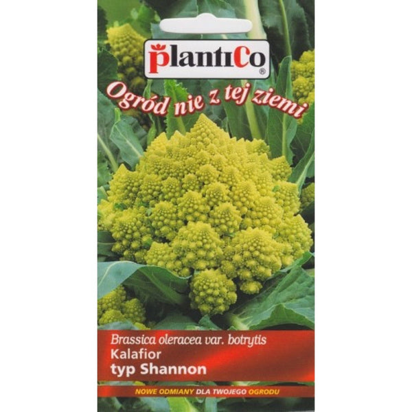 Saszetka nasion kalafiora romanesco PlantiCo (opakowanie typ Shannon)