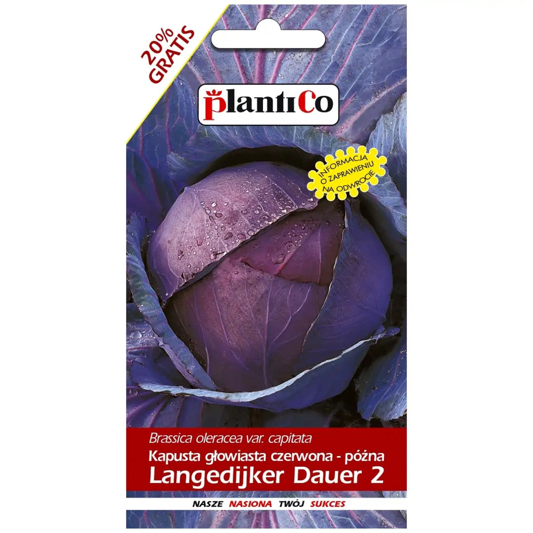 Saszetka nasion Kapusta czerwona Langedijker PlantiCo