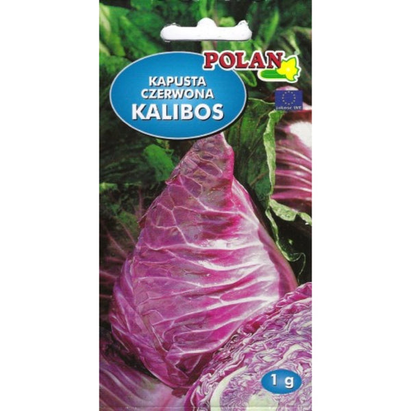Saszetka nasion kapusty czerwonej Kalibos PlantiCo (Polan)