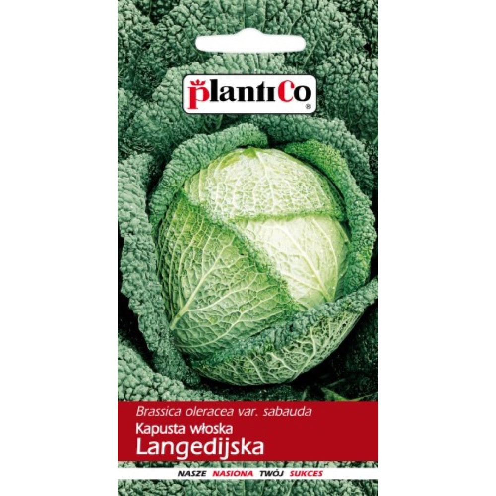 Saszetka nasion Kapusta włoska Langedijska PlantiCo
