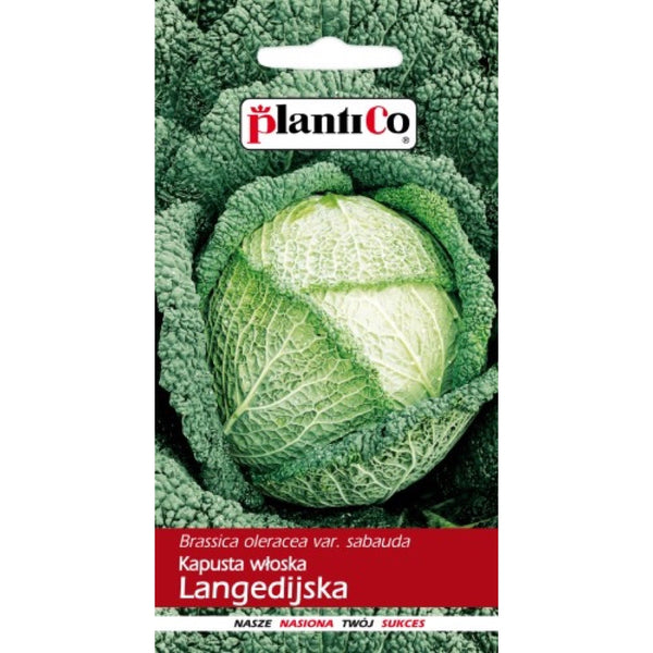 Saszetka nasion Kapusta włoska Langedijska PlantiCo