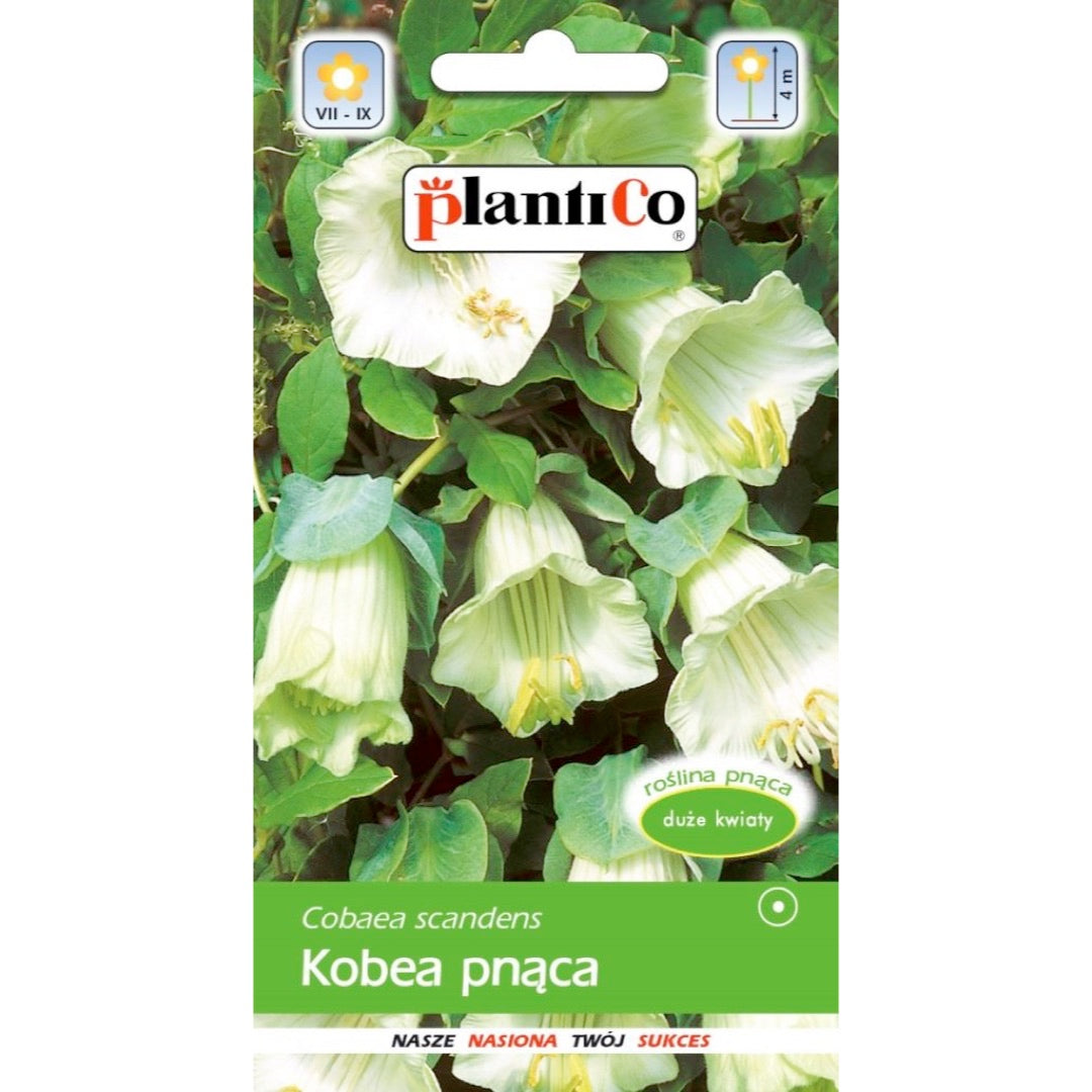 Saszetka nasion kobei pnącej białej PlantiCo