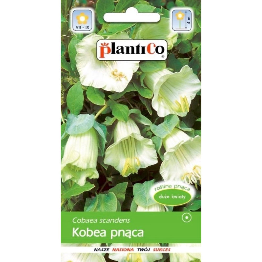 Saszetka nasion kobei pnącej mieszanka PlantiCo