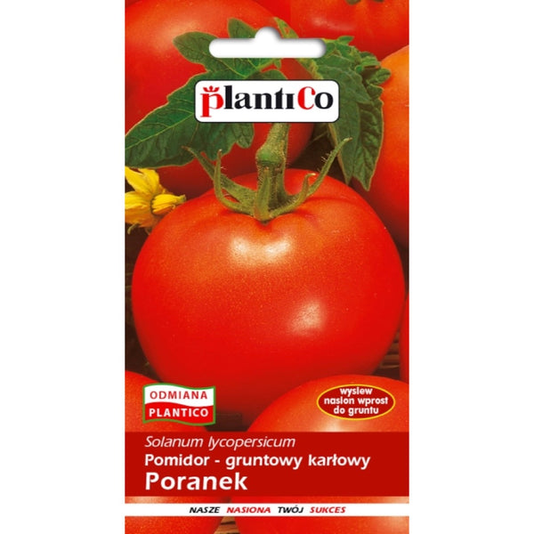 Saszetka nasion pomidora gruntowego karłowego Poranek PlantiCo, 1 g