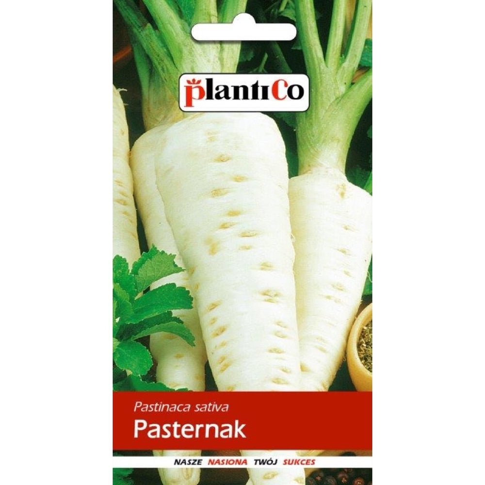 Saszetka nasion pasternaka Biały Półdługi PlantiCo, 5 g