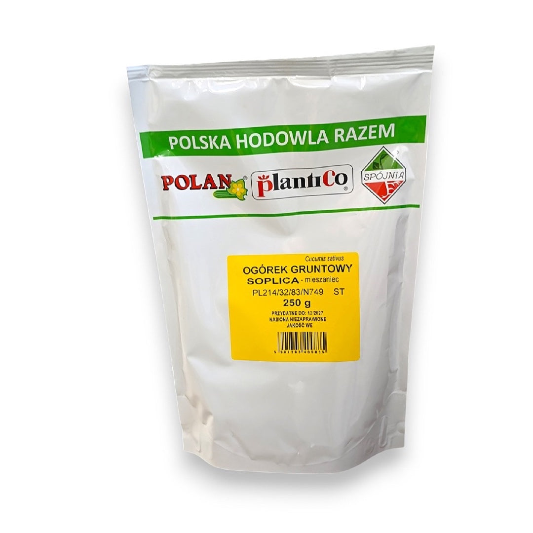 Opakowanie 250 g nasion ogórka gruntowego Soplica F1 PlantiCo