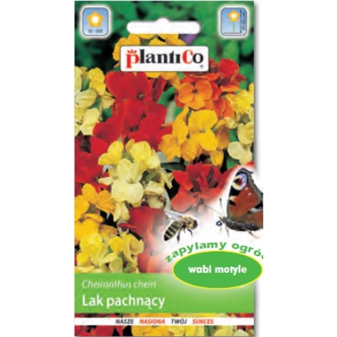Saszetka nasion laku pospolitego letniego, mieszanka, PlantiCo, 1 g
