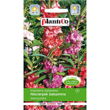 Saszetka nasion niecierpka balsaminy, mieszanka, PlantiCo, 1 g