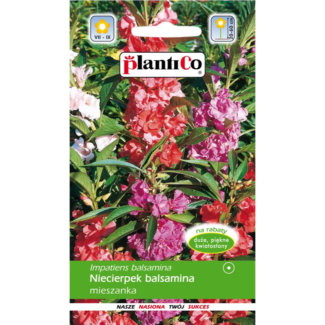 Saszetka nasion niecierpka balsaminy, mieszanka, PlantiCo, 1 g