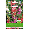 Saszetka nasion niecierpka balsaminy, mieszanka, PlantiCo, 1 g