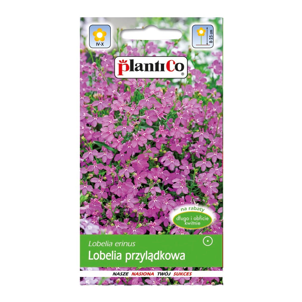 Saszetka nasion lobelii przylądkowej różowej (Ruby) PlantiCo