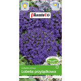 Saszetka nasion lobelii przylądkowej fioletowej (stroiczka) PlantiCo