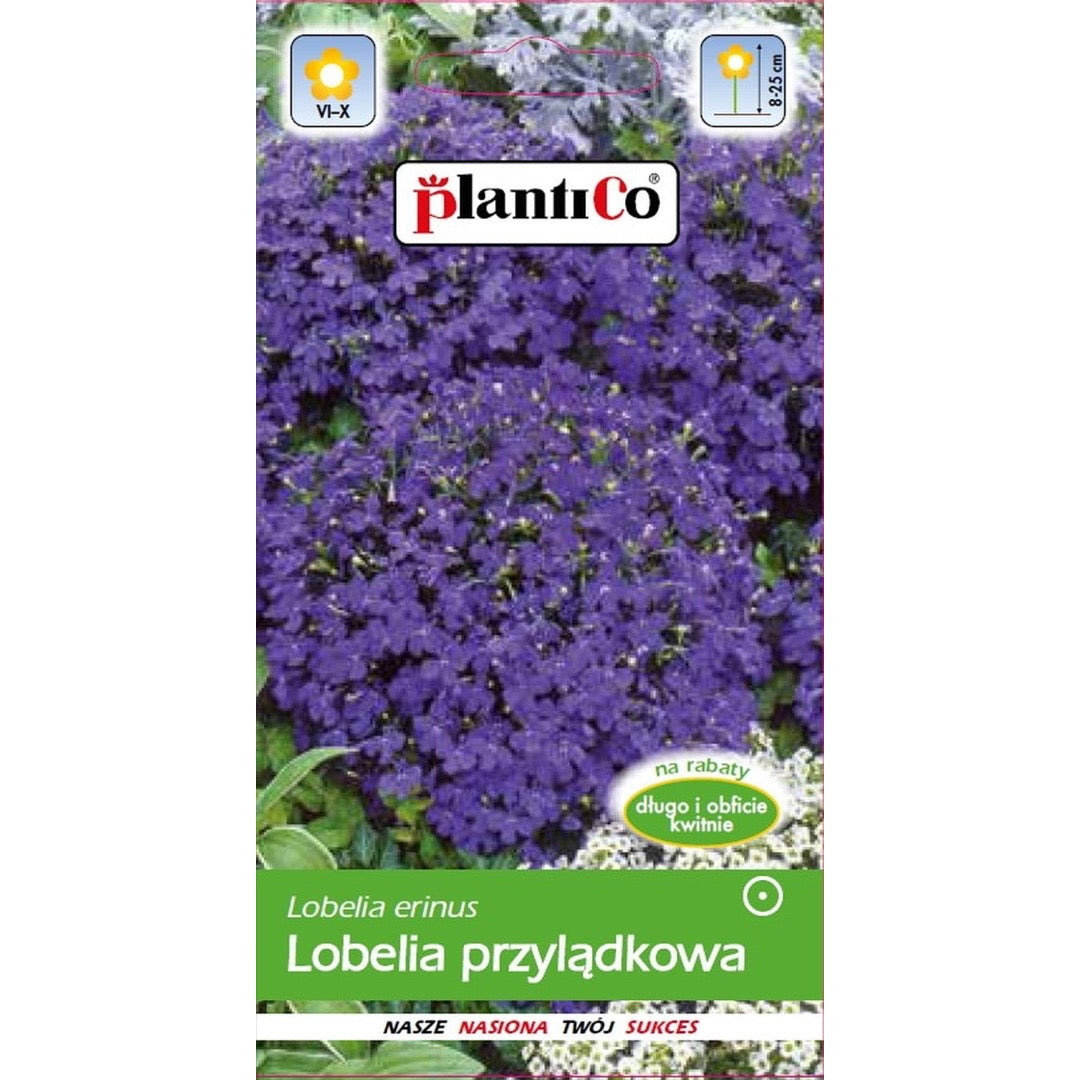 Saszetka nasion lobelii przylądkowej fioletowej (stroiczka) PlantiCo